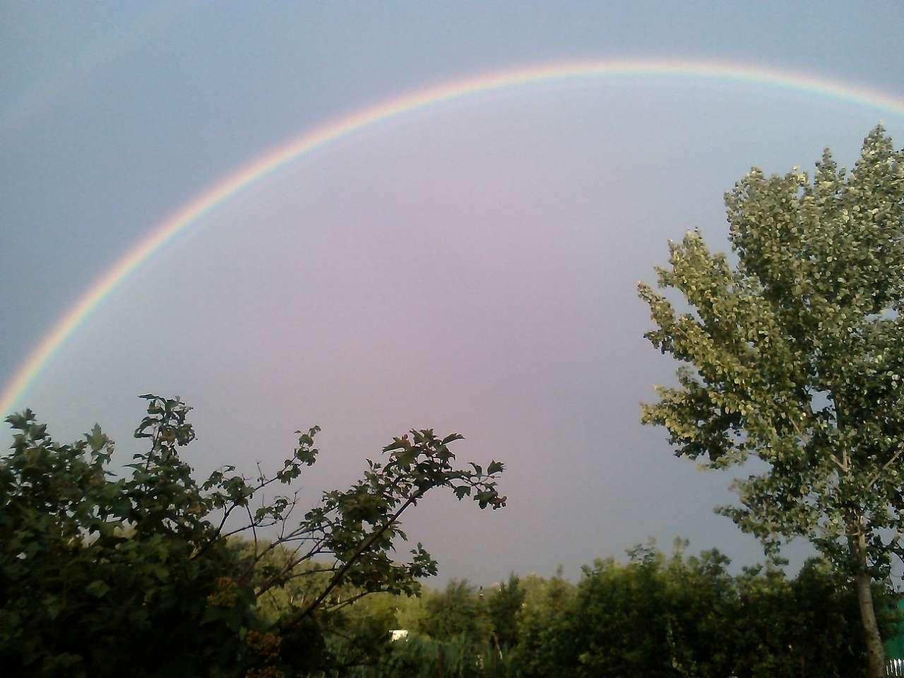 Краєвиди - Михайлики