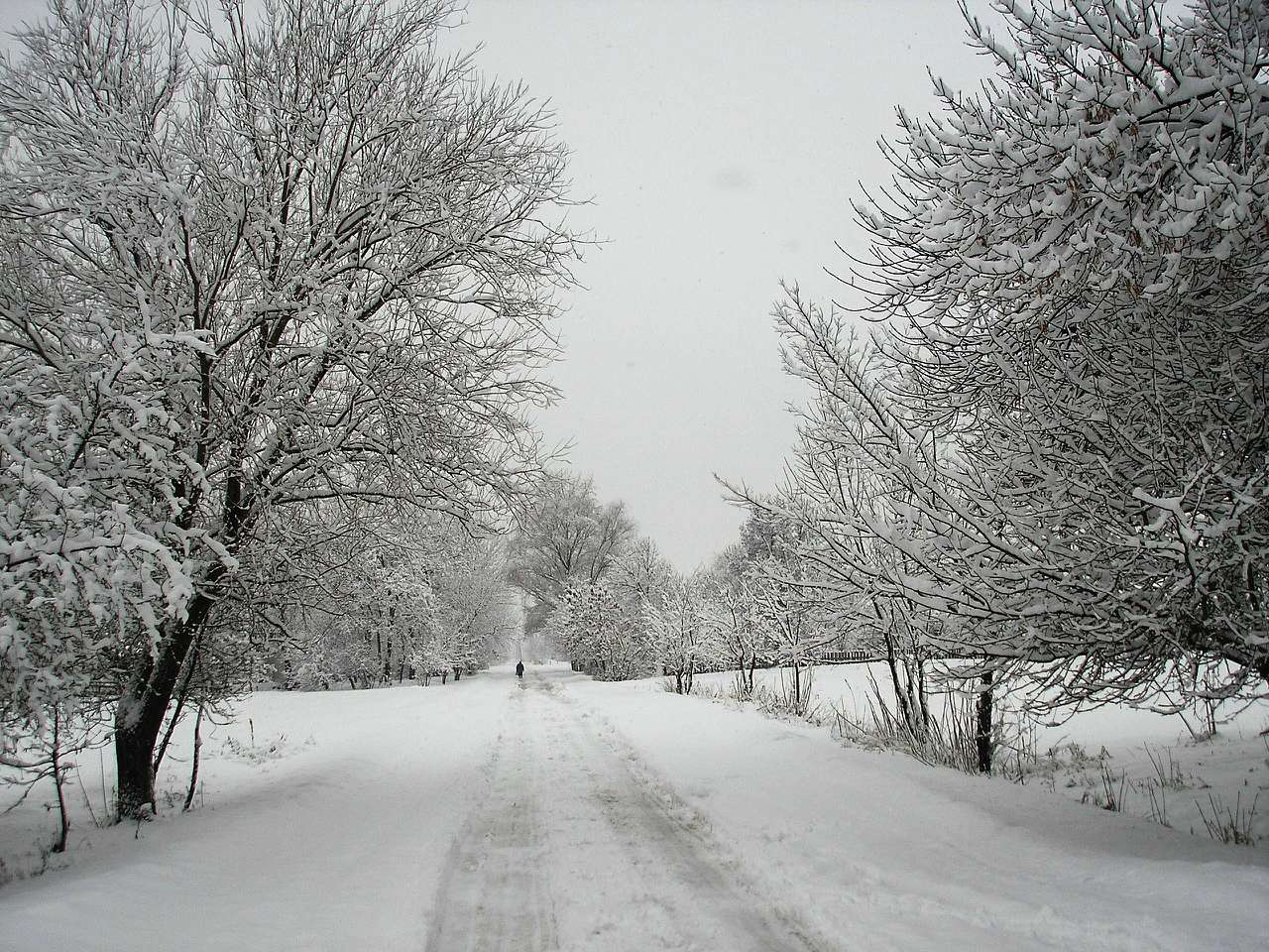 Краєвиди - Михайлики