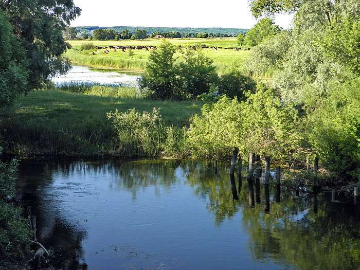 Запсілля - Запселье
