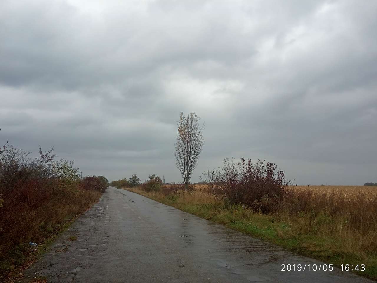 краєвид - Zhulyn