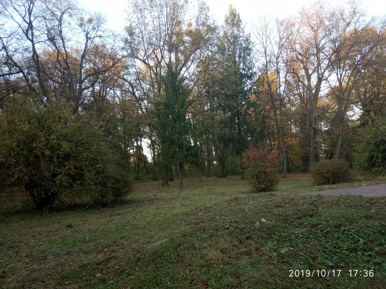 парки - Stryi
