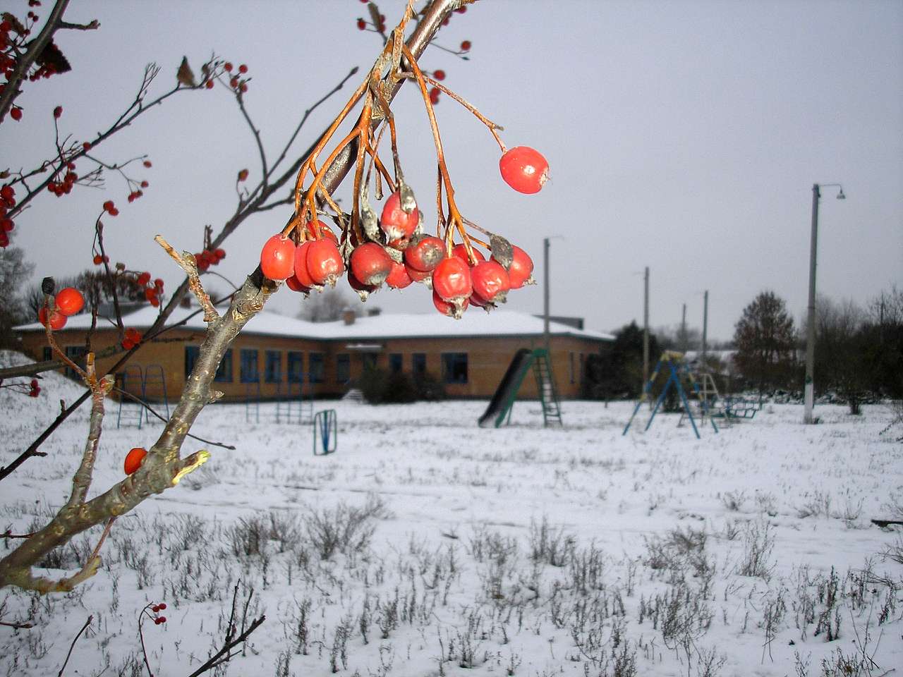 Краєвиди - Михайлики