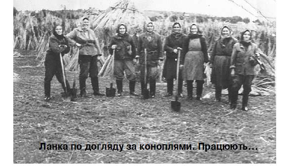Історія  села - Малые Будки