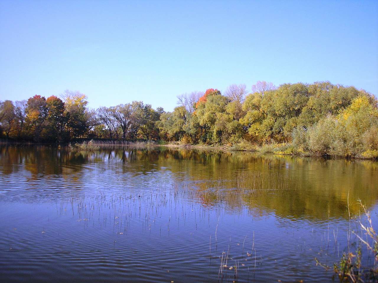 Краєвиди - Михайлики