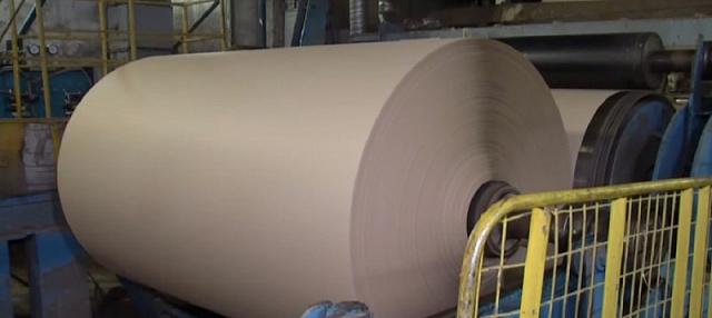 У Житомирі почали виготовляти папір з опалого - Житомир