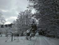 ЗИМА У НЕГРАШАХ