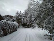 ЗИМА У НЕГРАШАХ