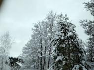 ЗИМА У НЕГРАШАХ