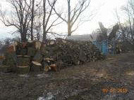 Вощатин - Останні фото