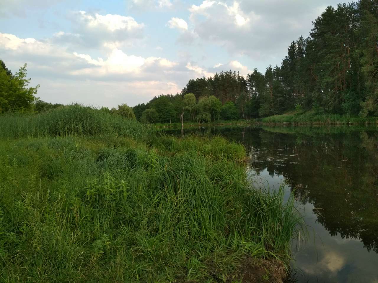 Неграшівський Неграш - Неграши