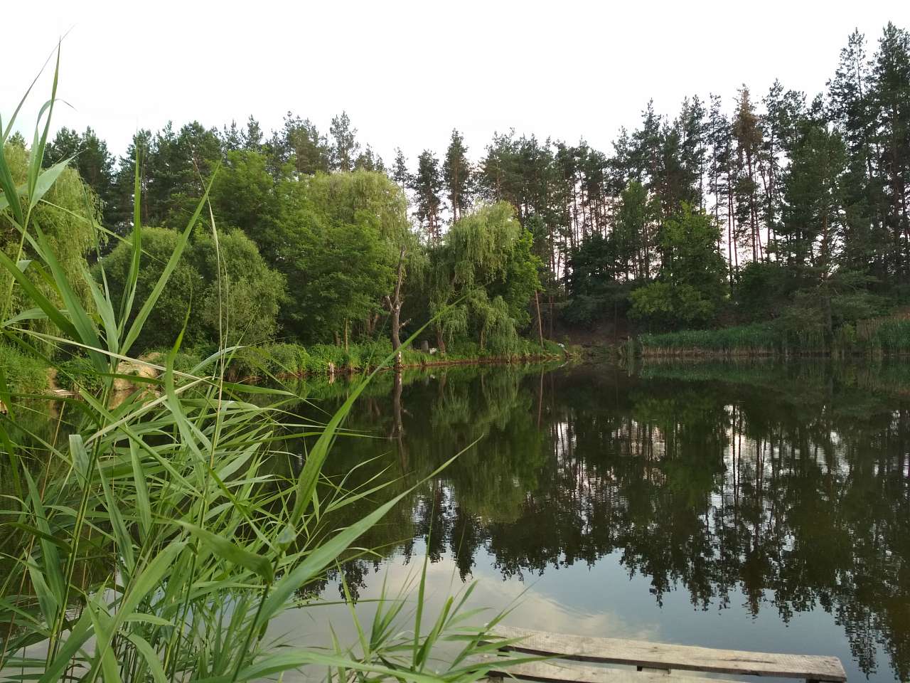 Неграшівський Неграш - Неграші