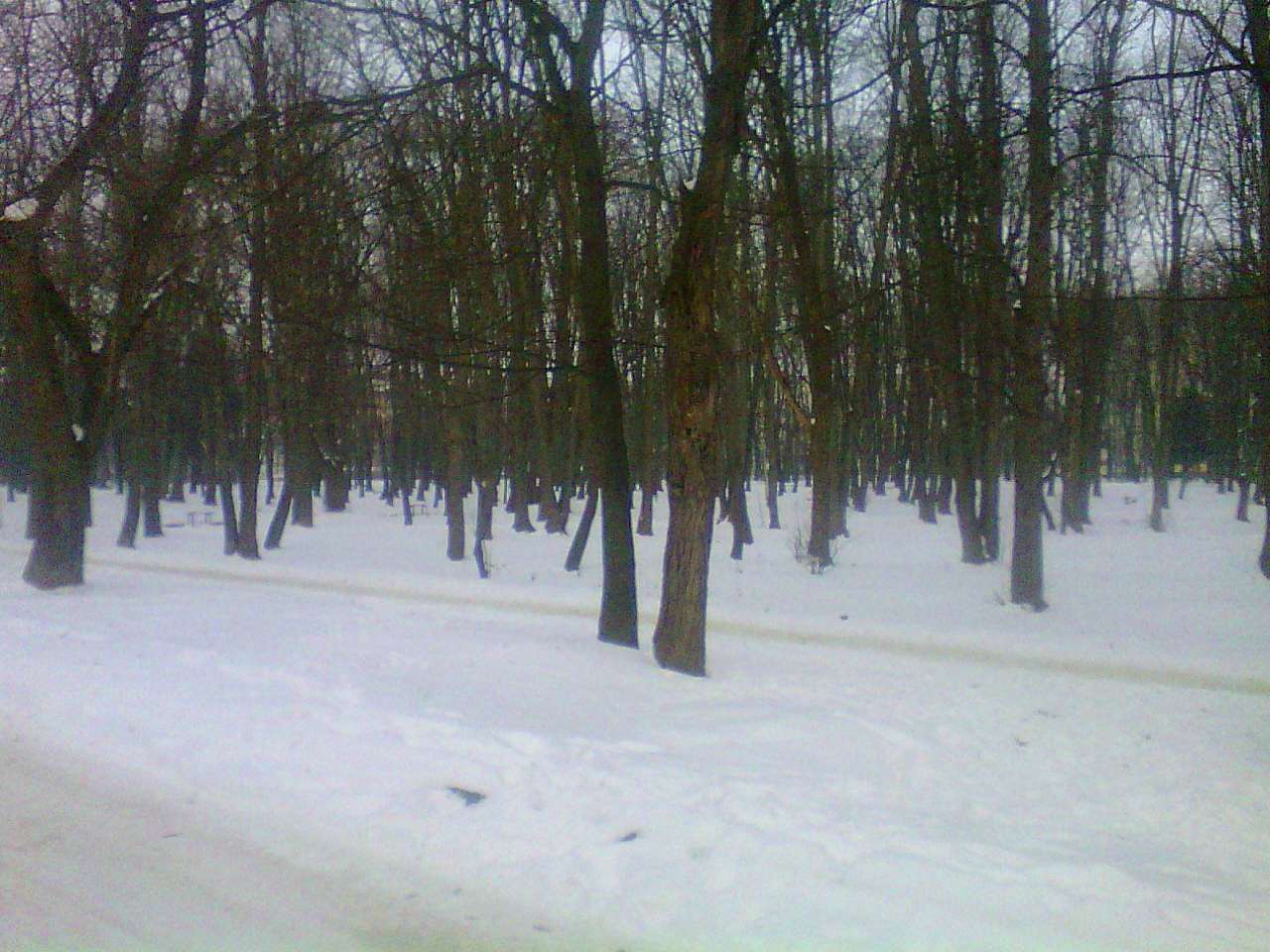 парки - Стрый