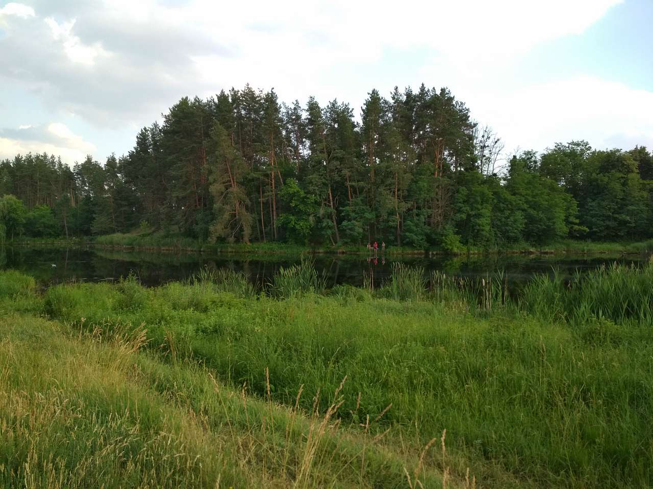 Неграшівський Неграш - Неграши