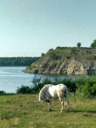 Дністровські краєвиди.