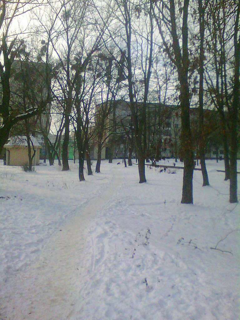 парки - Стрый