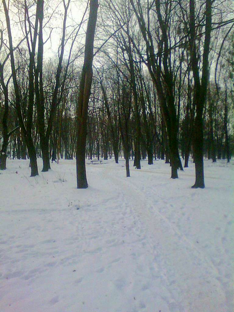 парки - Стрый