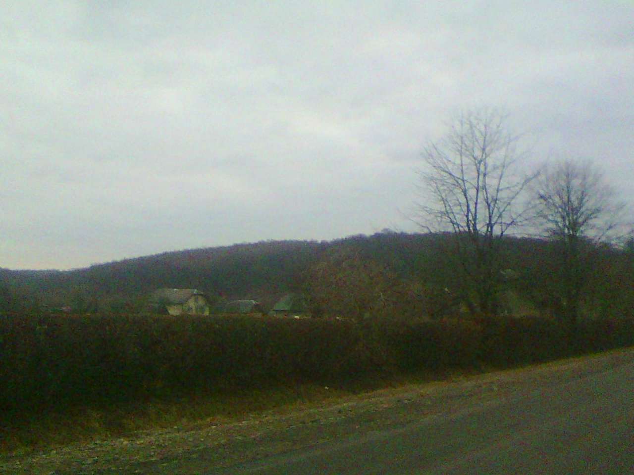 Краєвид - Лотатники