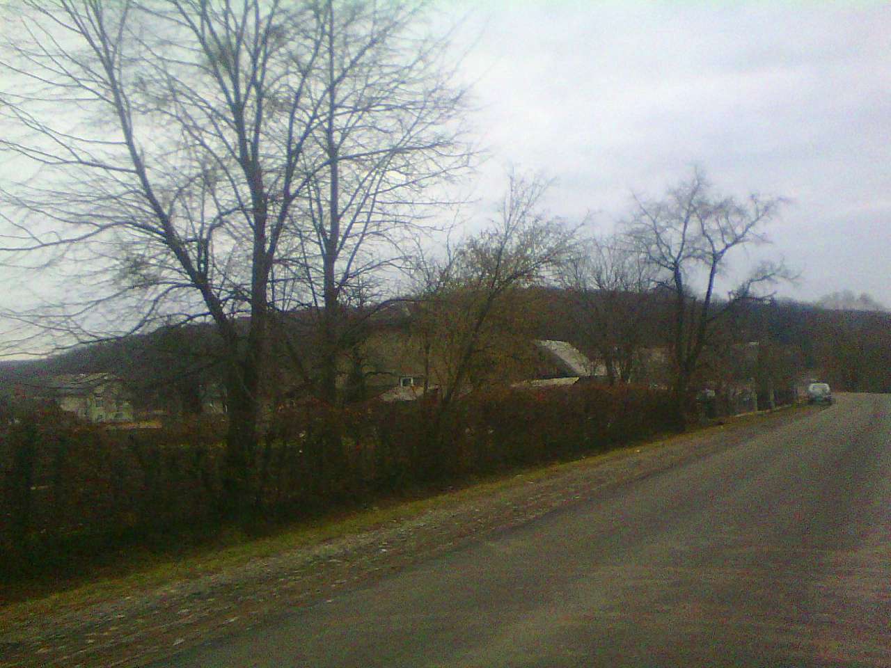 Краєвид - Лотатники