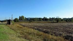 Природа села - Нива Трудова