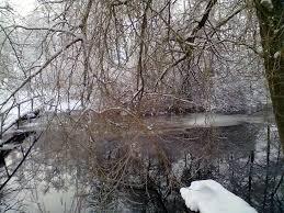 \\\ - Сестрятин