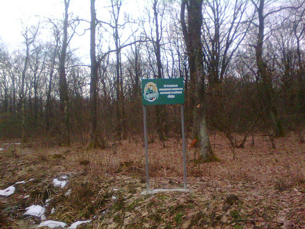 Краєвид - Лани Соколівські