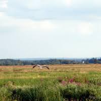 На природі - Сестрятин