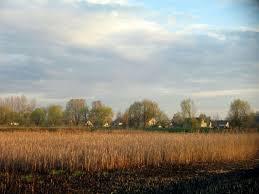 \\\ - Сестрятин