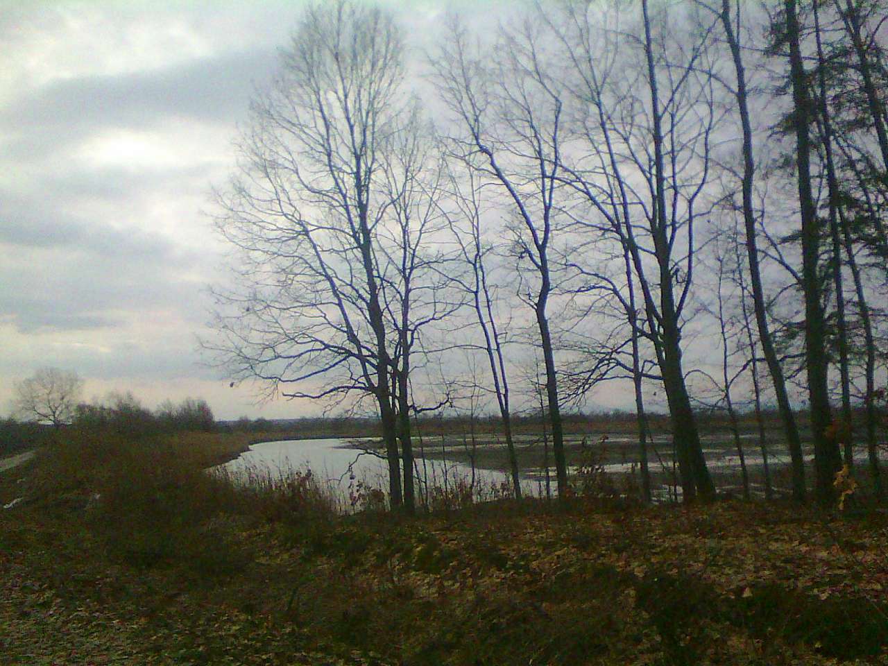 Рибгосп - Лани Соколівські