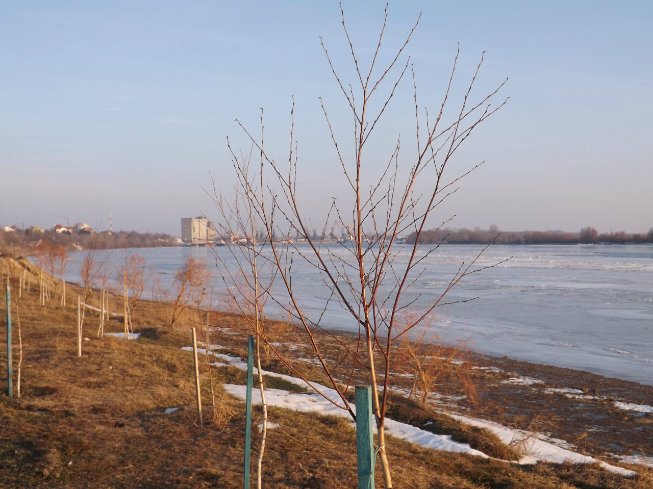 Измаил - Измаил