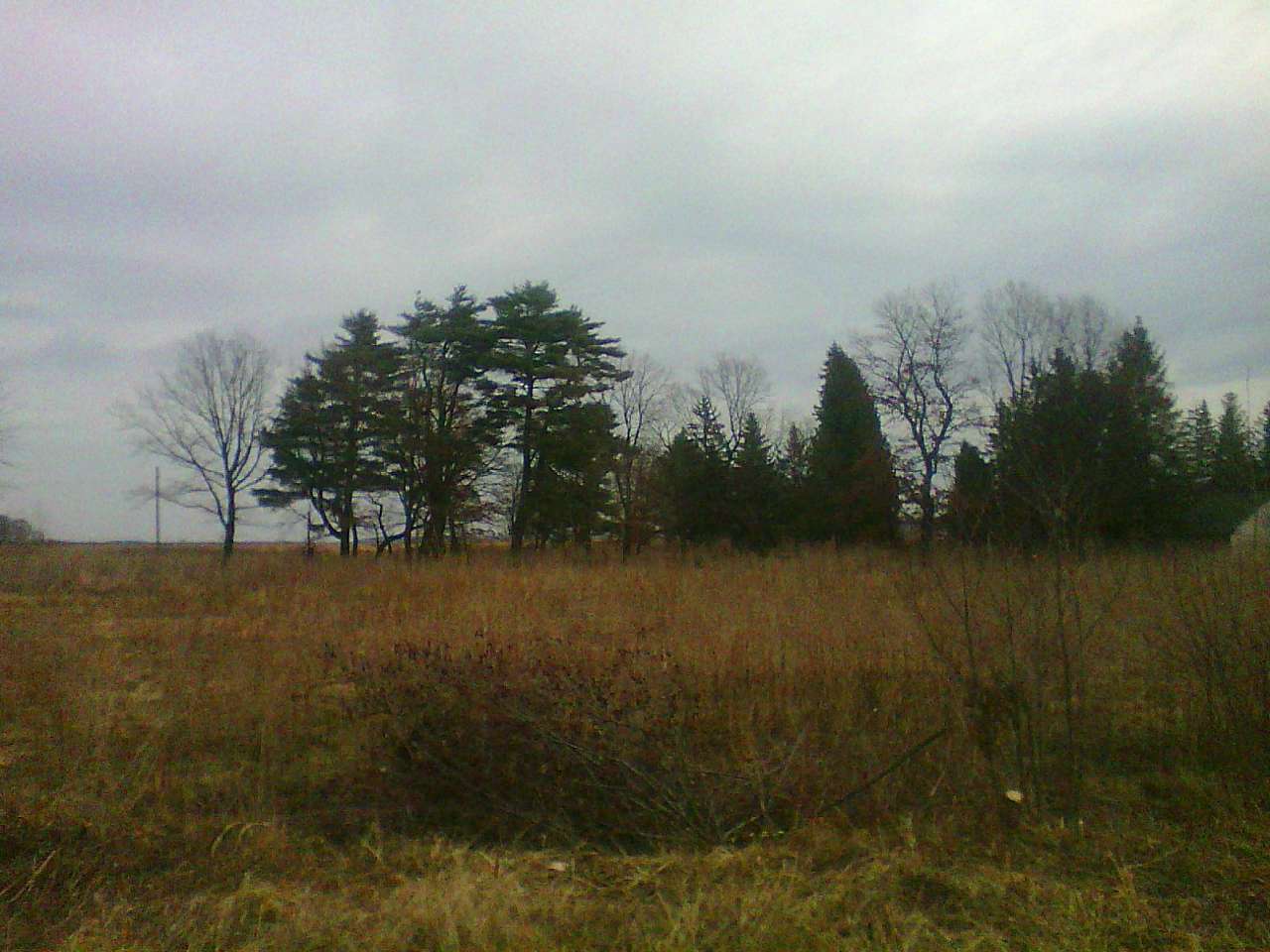 Краєвид - Лани Соколівські