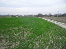 часток 10 соток, с.Лука-Мелешківс - Лука-Мелешковская