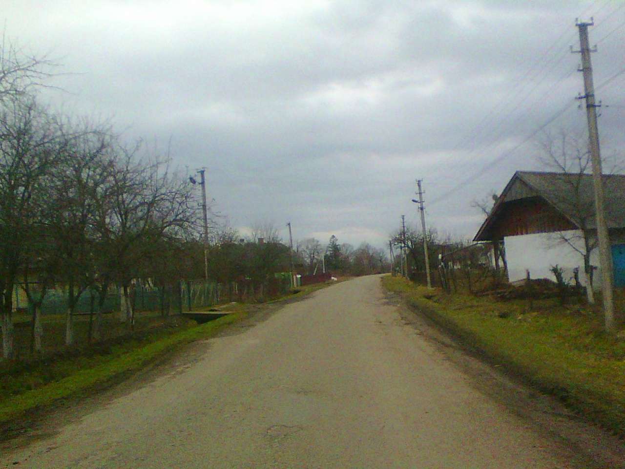 Краєвид - Задеревач