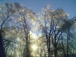 \\\ - Сестрятин