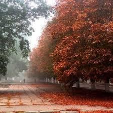 Природа села - Нива Трудова