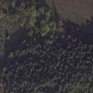 Городище в селе Потелич