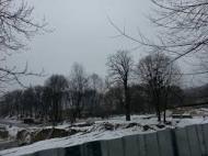 Біля Потелич винищили 120 дерев