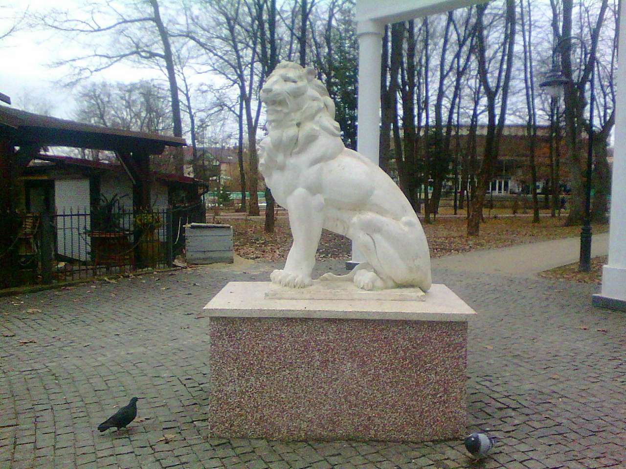 Парки - Моршин