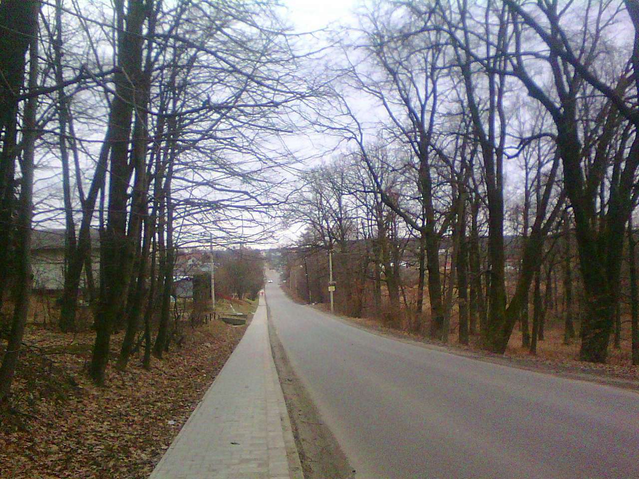 Краєвид - Баня Лисовицька