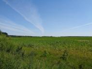 Природа, фото Андрія Сніжка