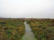 Природа, фото Андрія Сніжка