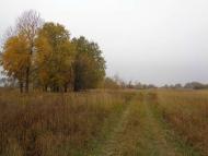 Природа, фото Андрія Сніжка