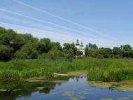 Природа, фото Андрія Сніжка