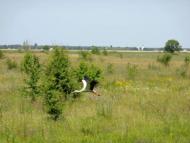Природа, фото Андрія Сніжка