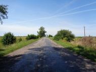 Природа, фото Андрія Сніжка