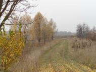 Природа, фото Андрія Сніжка