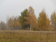 Природа, фото Андрія Сніжка