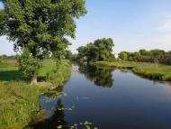 Природа, фото Андрія Сніжка