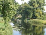 Природа, фото Андрія Сніжка