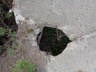 Очима туриста, фото Андрія Сніжка