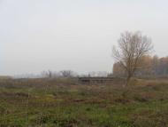 Природа, фото Андрія Сніжка